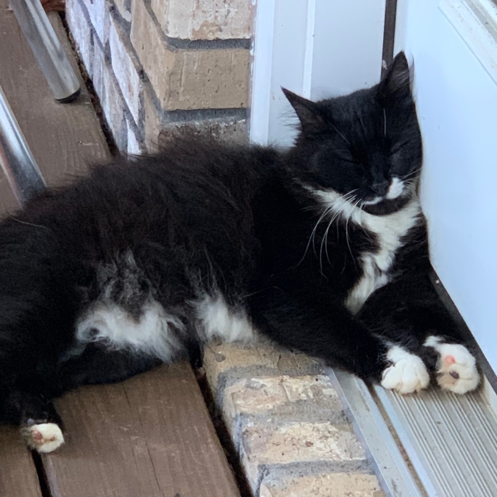 Meet your Posher, Posh